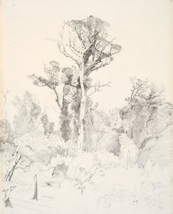 Natifs détribalisés, Taranaki